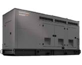 Газовый генератор Generac CG 250